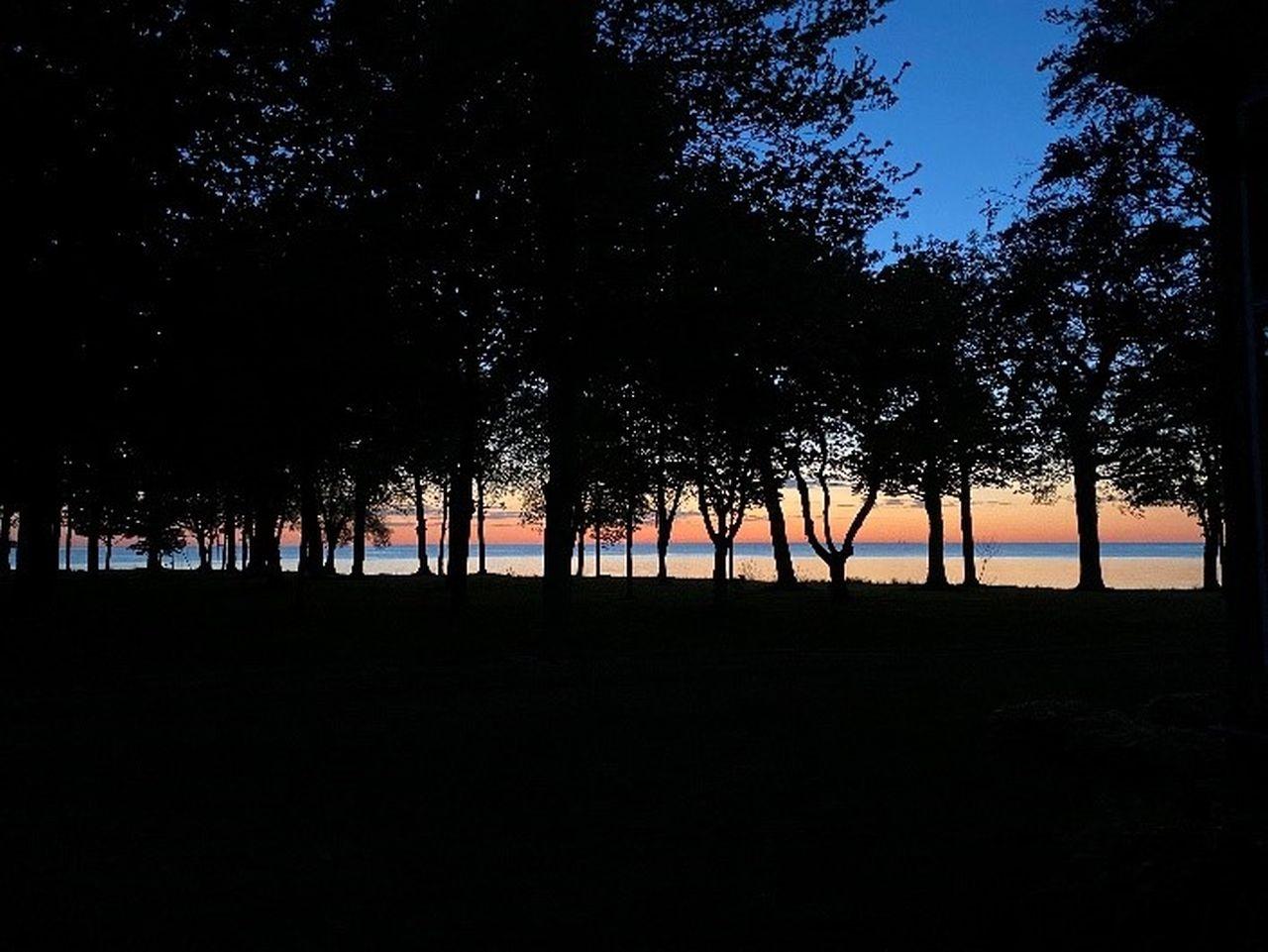 Sunset View from the Middle Bass Club’s Grove, 2021. Photograph by Marie Rader